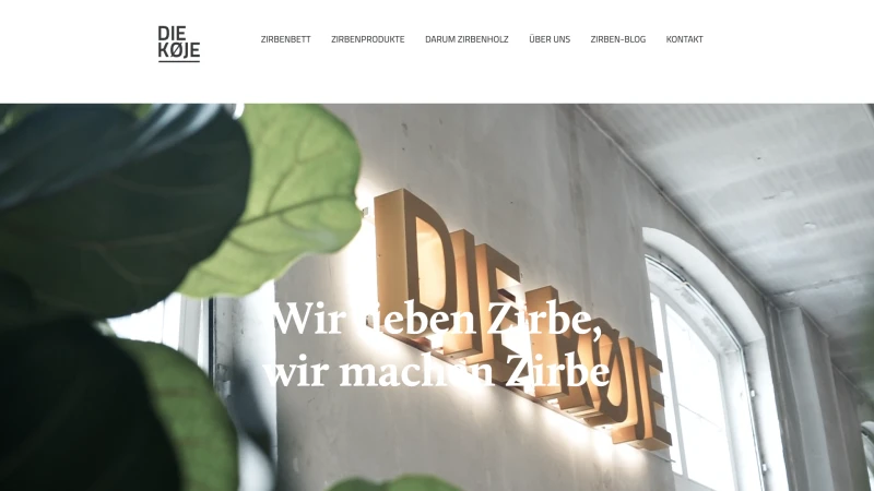A screenshot of diekoje.com