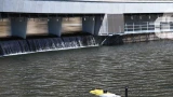 A screenshot of subdron.com
